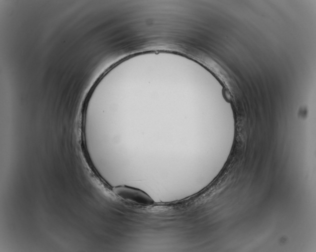 X0000101221140200807251105