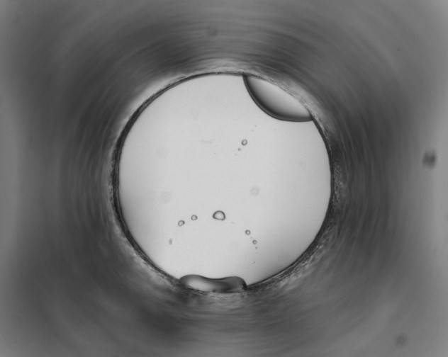 X0000101221142200807251105