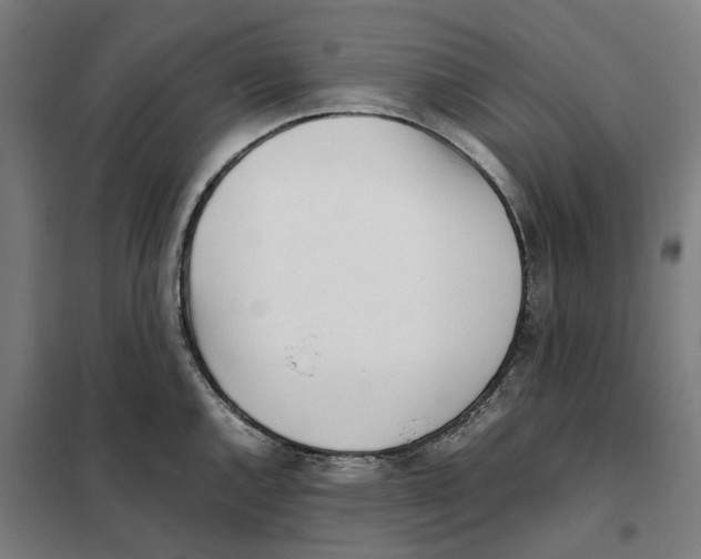 X0000101221144200807251105