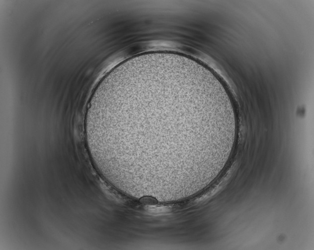 X0000101221145200807251105