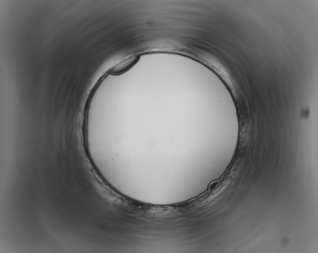X0000101221146200807251105