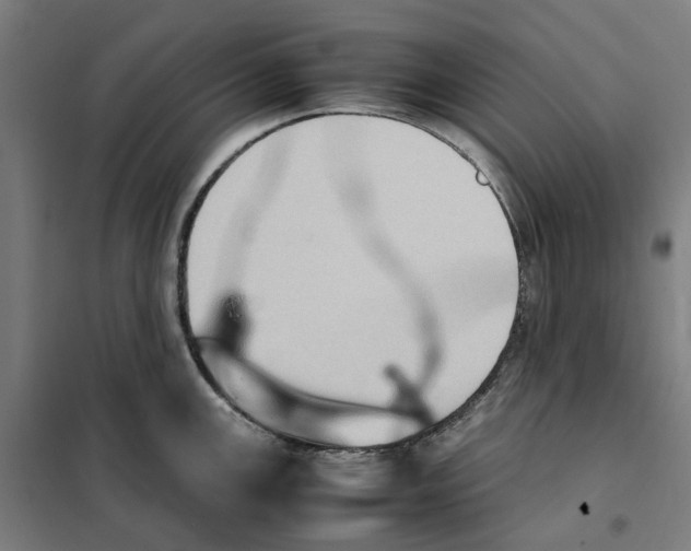 X0000101221147200807251105