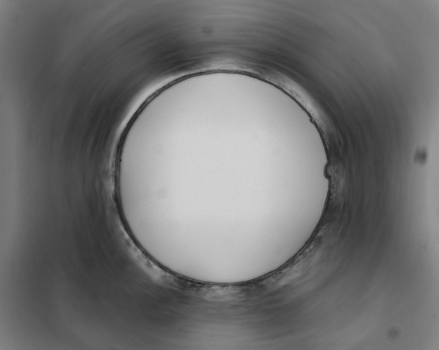X0000101221148200807251105