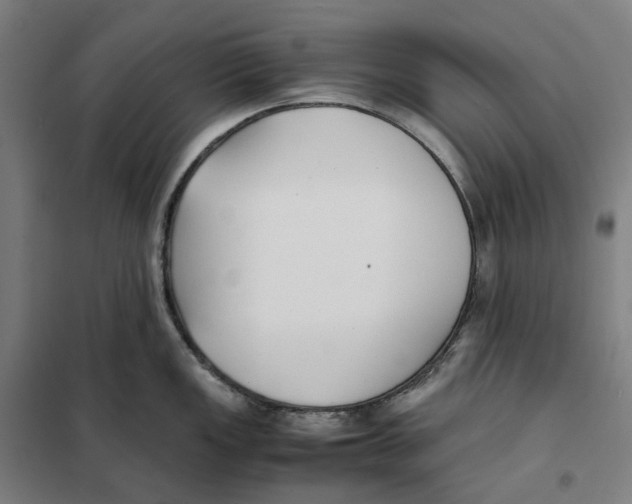 X0000101221149200807251105