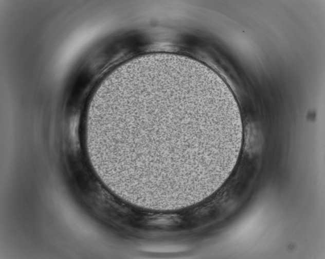 X0000101221150200807251105