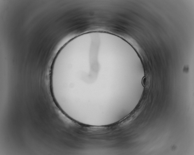X0000101221151200807251105