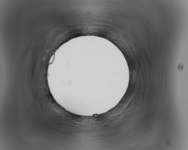 X0000101221153200807251105