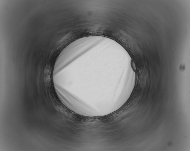 X0000101221154200807251105