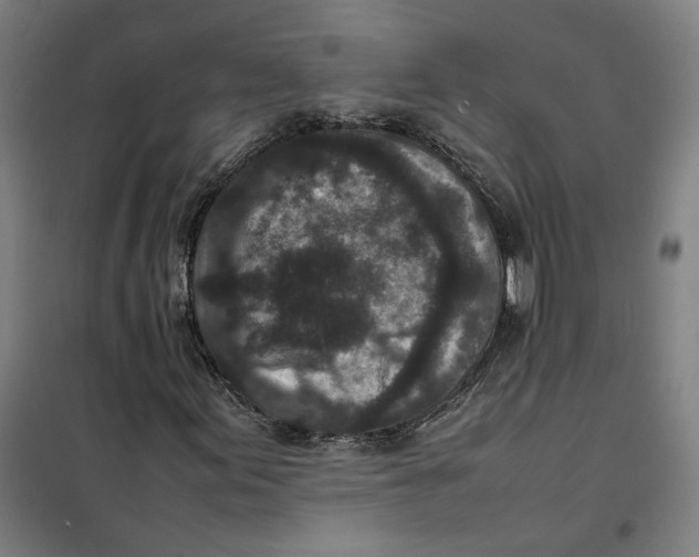 X0000101221155200807251105