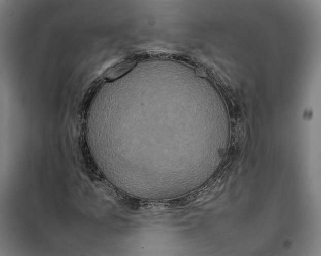 X0000101221157200807251105