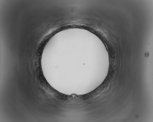 X0000101221159200807251105