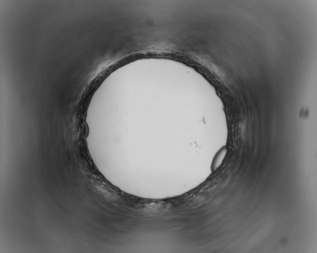 X0000101221160200807251105
