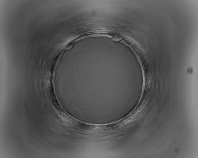 X0000101221161200807251105