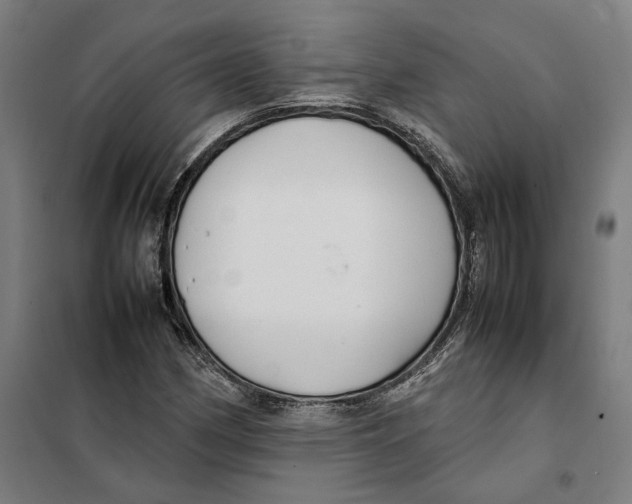 X0000101221162200807251105