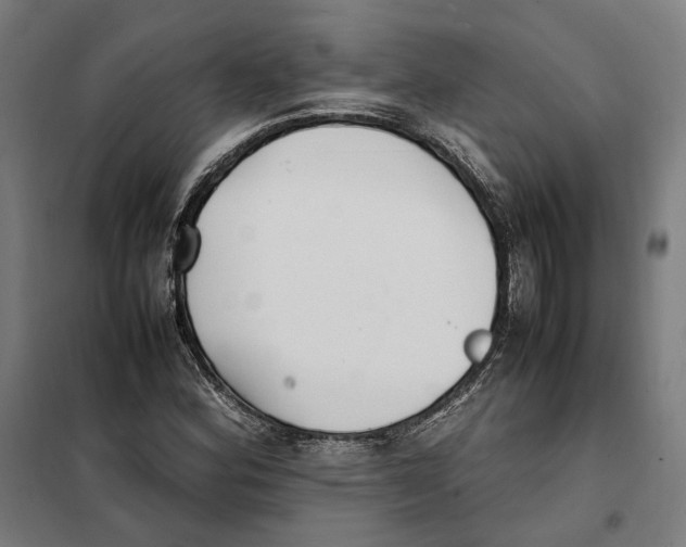 X0000101221164200807251104