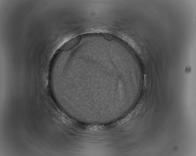 X0000101221165200807251104