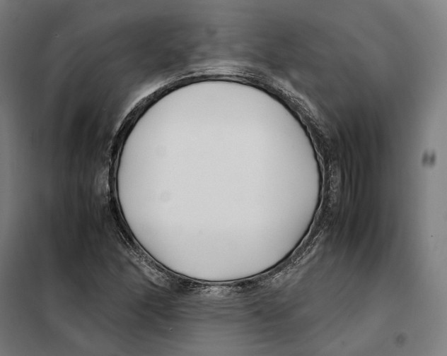 X0000101221166200807251104