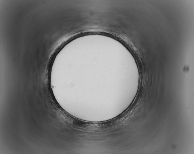 X0000101221167200807251104