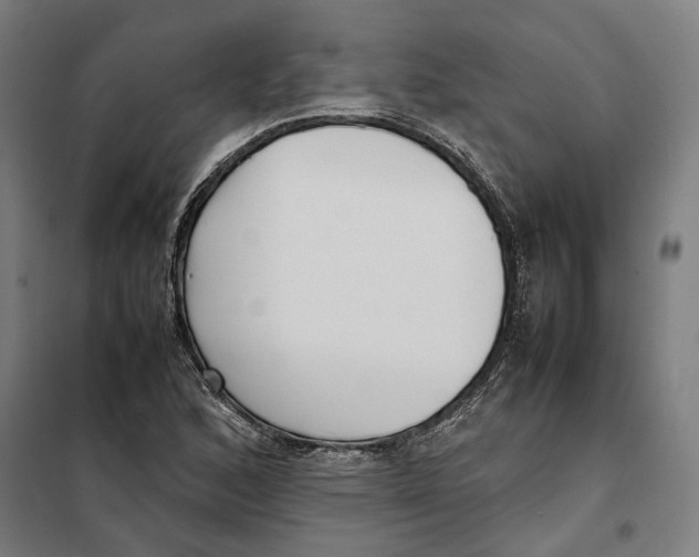 X0000101221168200807251104
