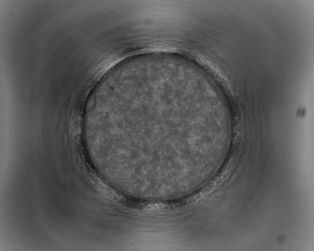 X0000101221169200807251104