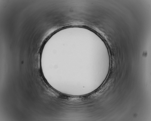 X0000101221171200807251104