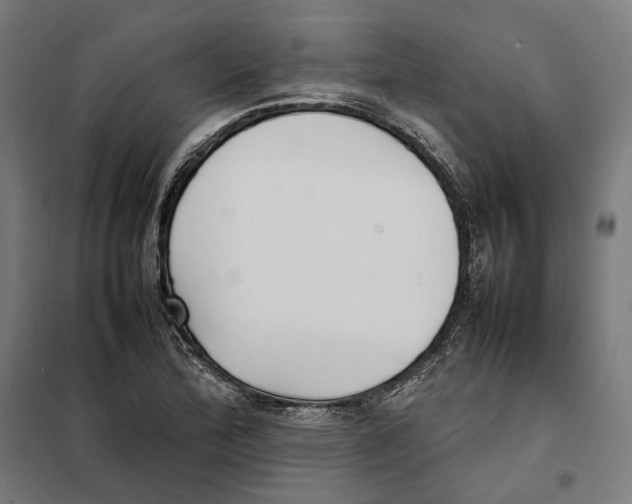 X0000101221172200807251104