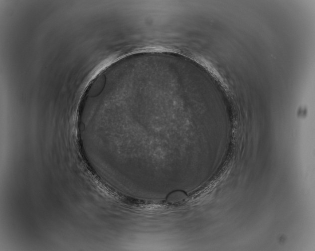 X0000101221173200807251104