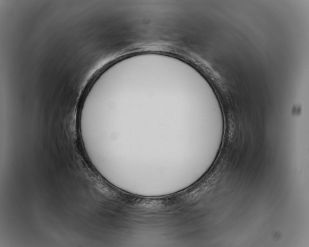 X0000101221174200807251104