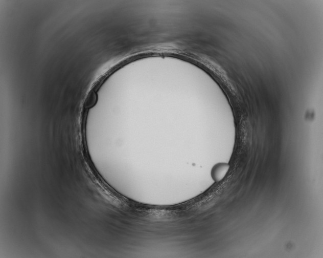 X0000101221176200807251104
