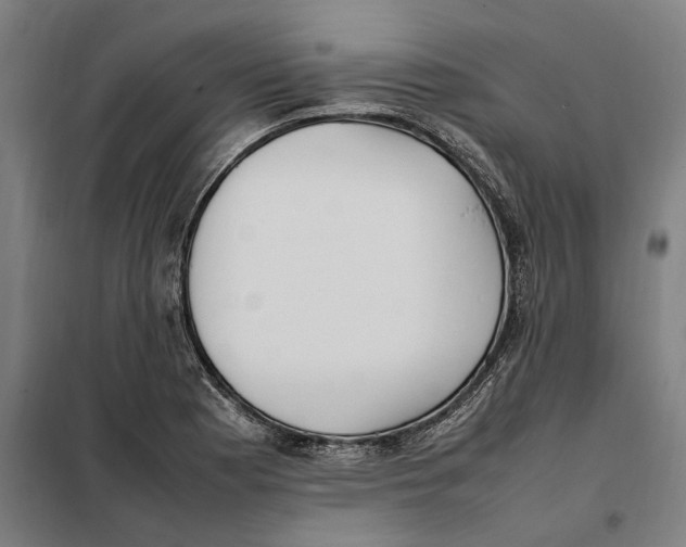 X0000101221177200807251104