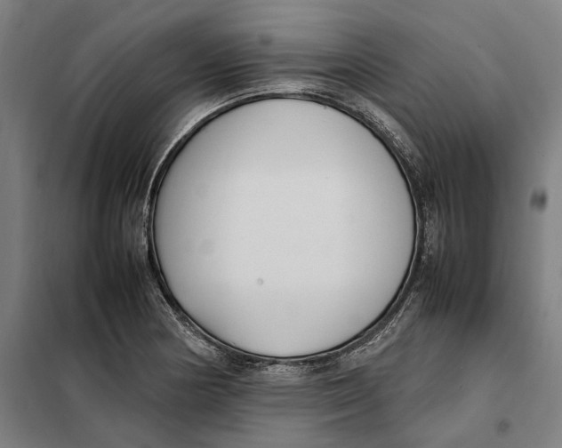 X0000101221178200807251104