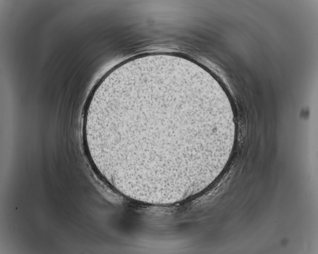 X0000101221179200807251104