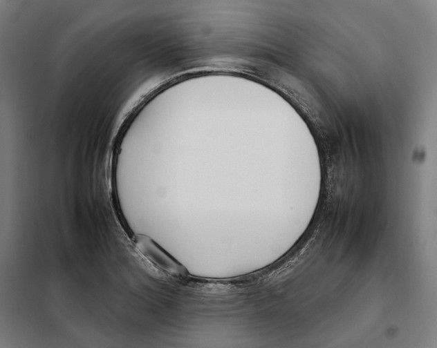X0000101221180200807251104