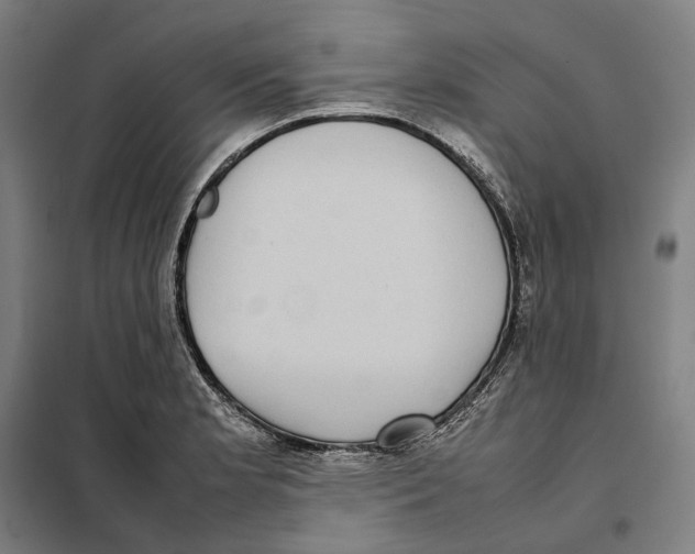 X0000101221181200807251104