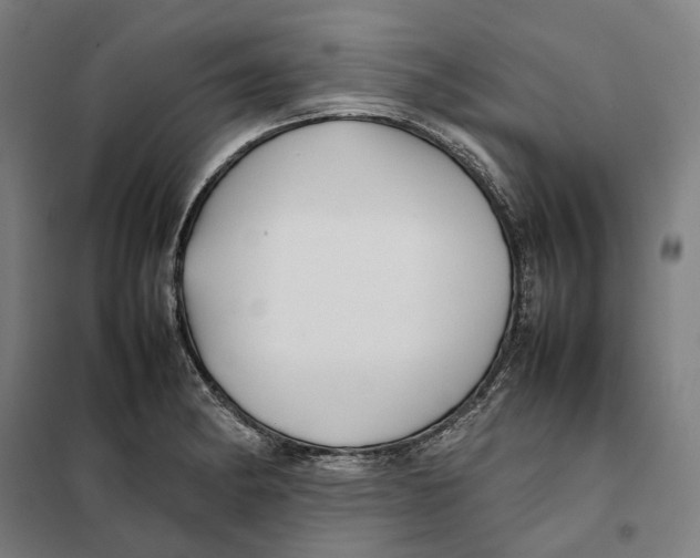 X0000101221182200807251104
