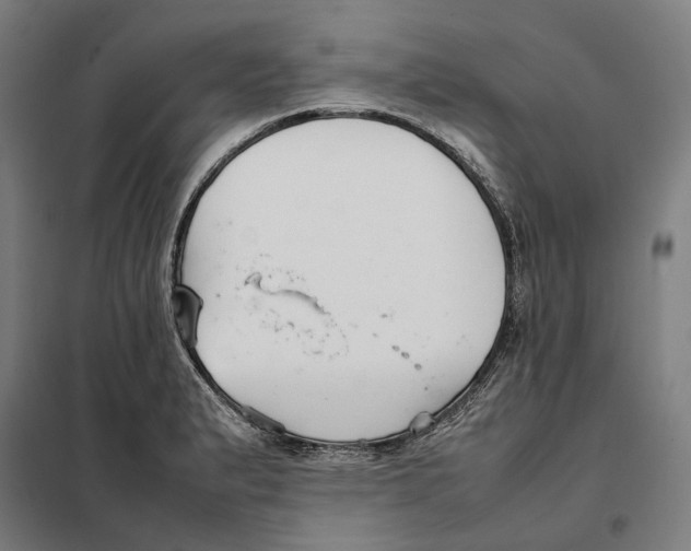 X0000101221183200807251104