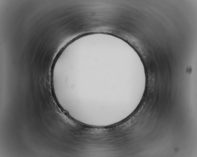 X0000101221184200807251104