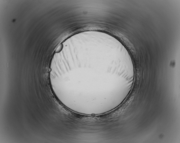 X0000101221185200807251104
