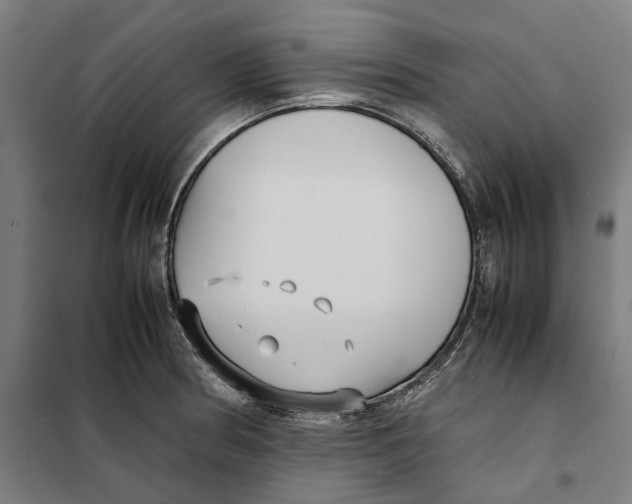 X0000101221186200807251104