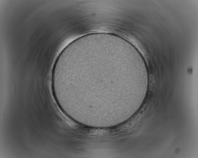X0000101221187200807251104
