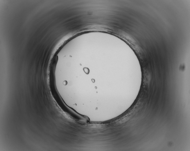 X0000101221188200807251104