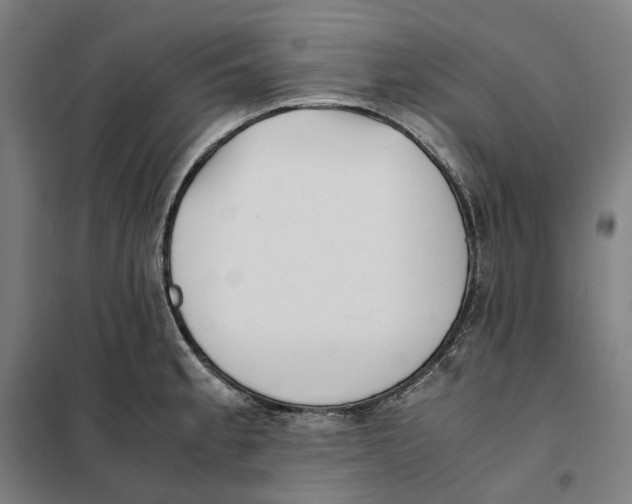 X0000101221189200807251104