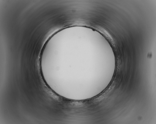 X0000101221190200807251104