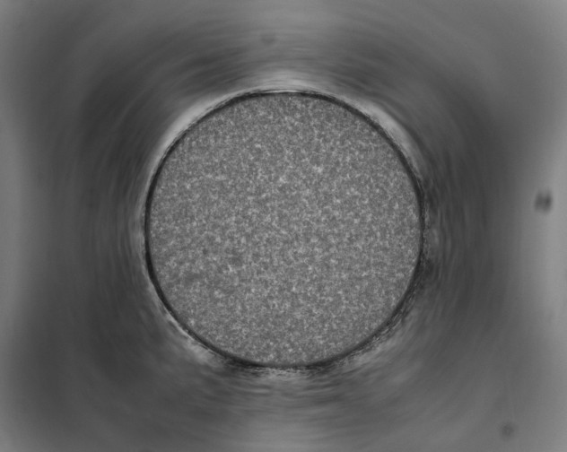 X0000101221191200807251104