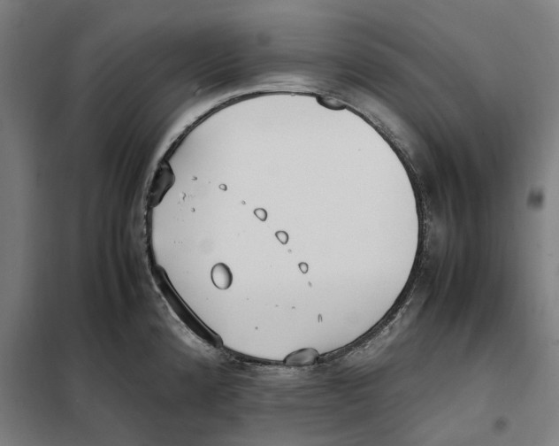 X0000101221192200807251104