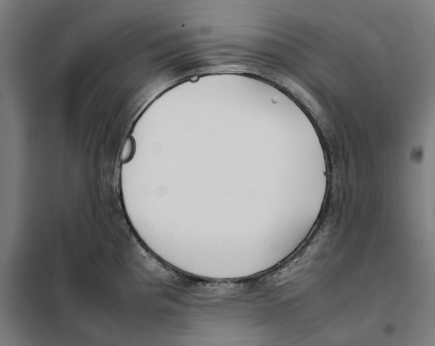 X0000101221193200807251104