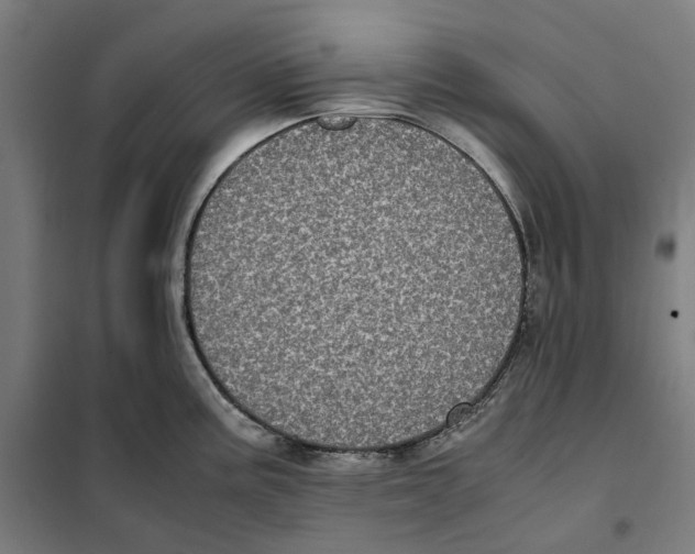 X0000101221195200807251104