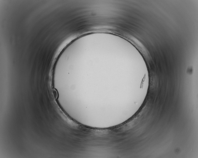 X0000101221196200807251104