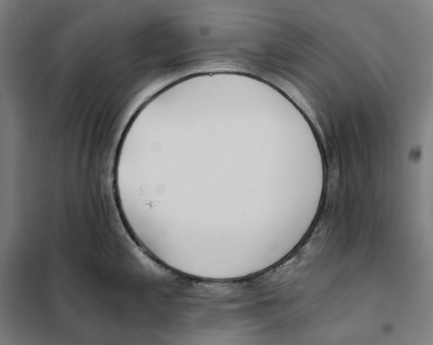 X0000101221197200807251104