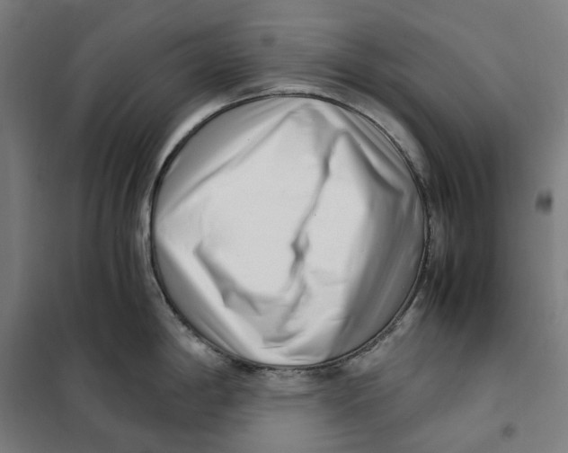 X0000101221198200807251104